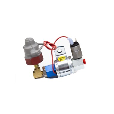 Electric Activated Lock
